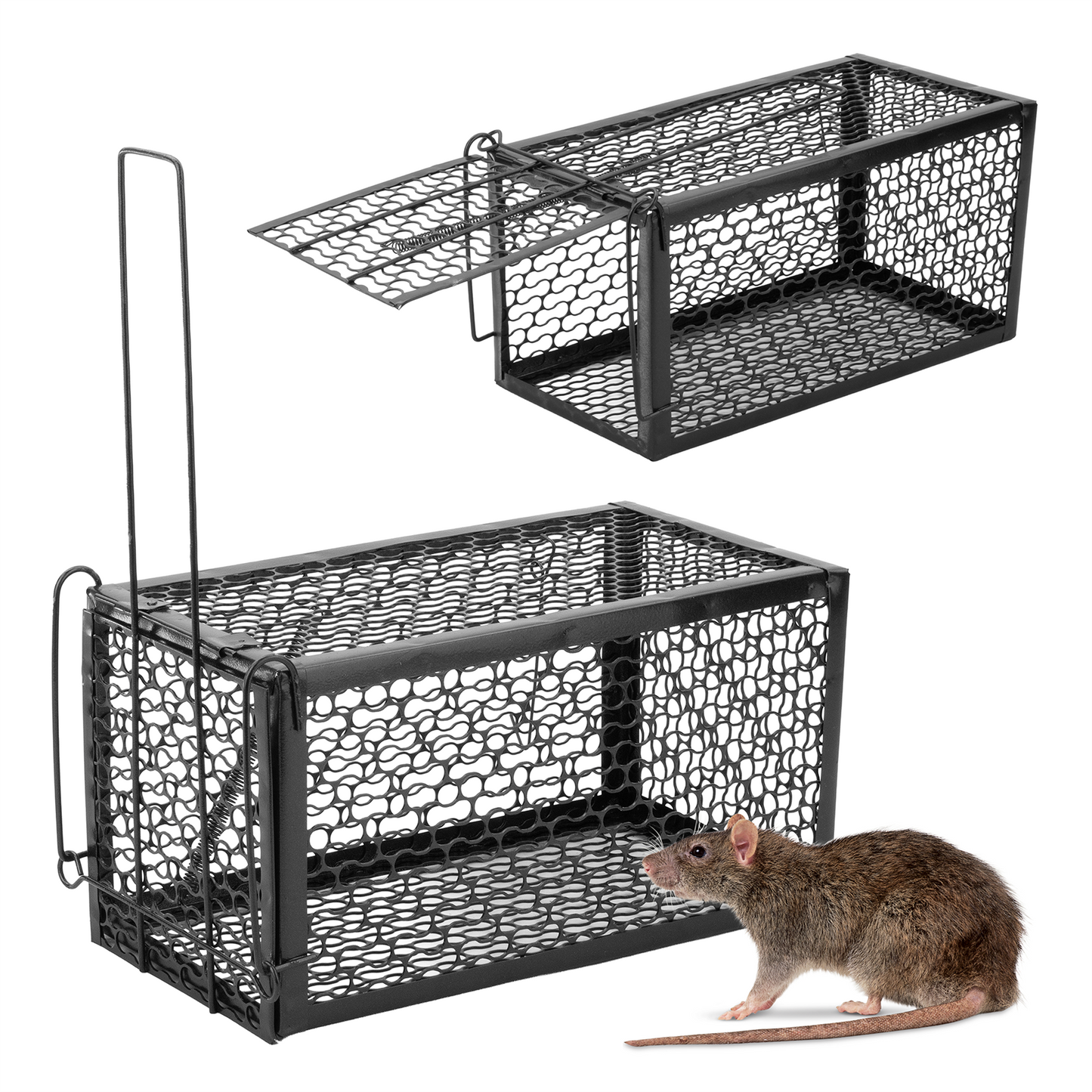 Humane No Kill Rat Traps