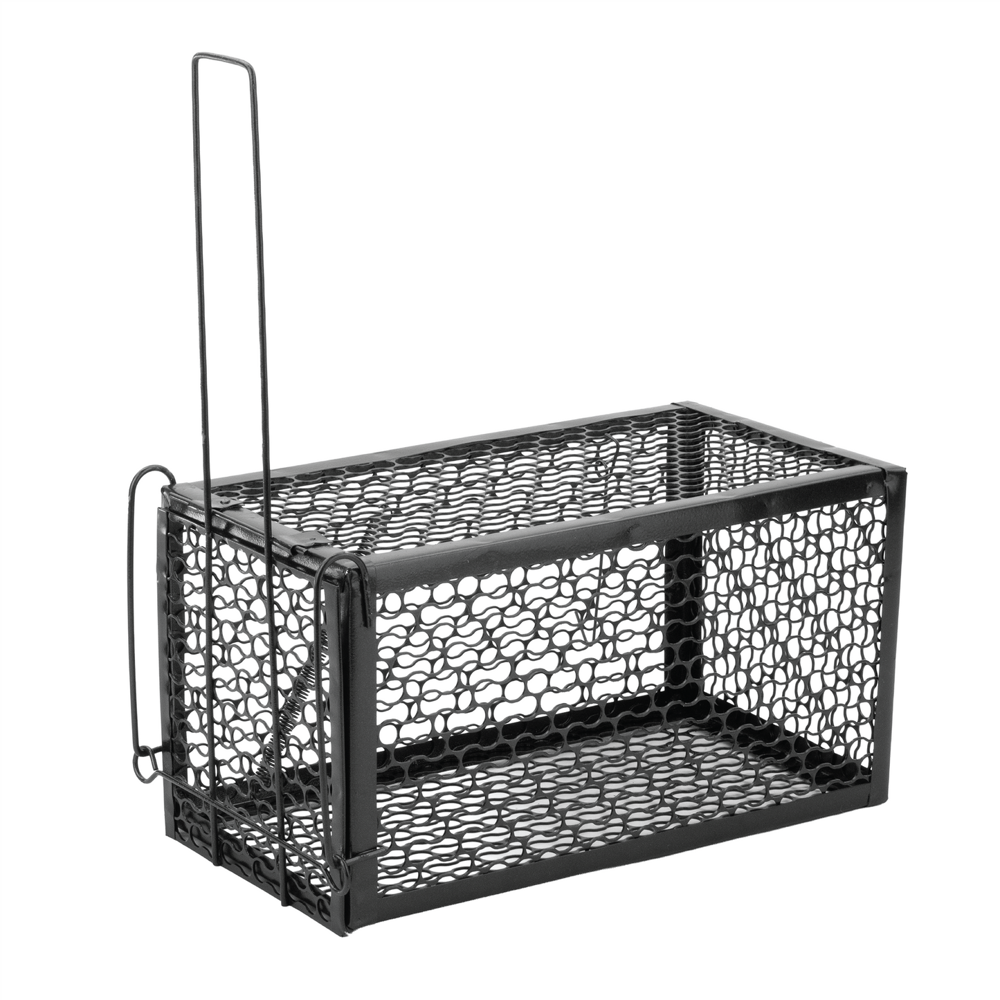 Humane No Kill Rat Traps