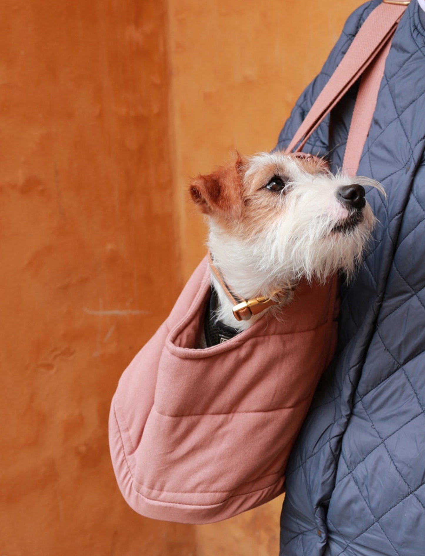 Rio Dog Carrier Bag
