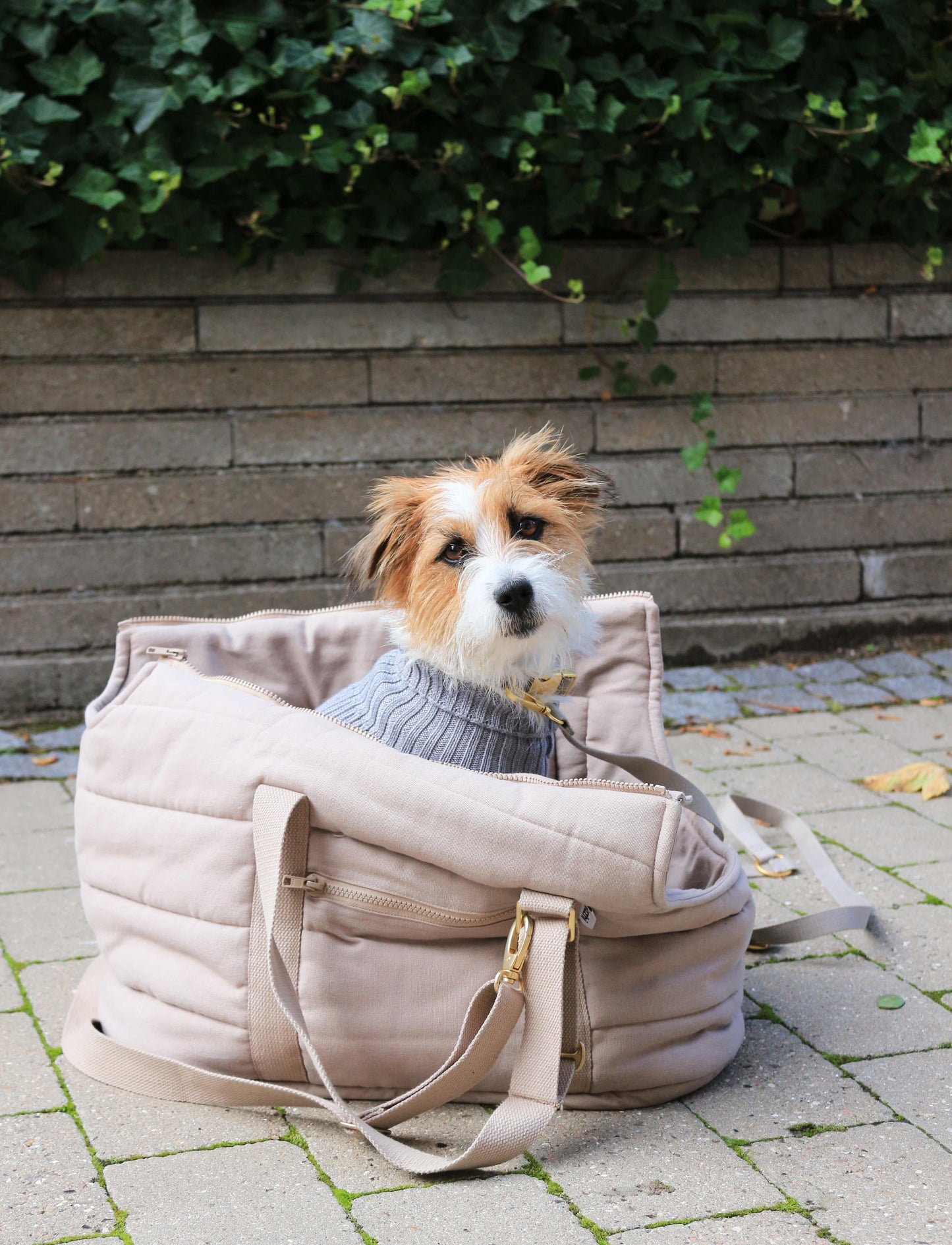 Rio Dog Carrier Bag